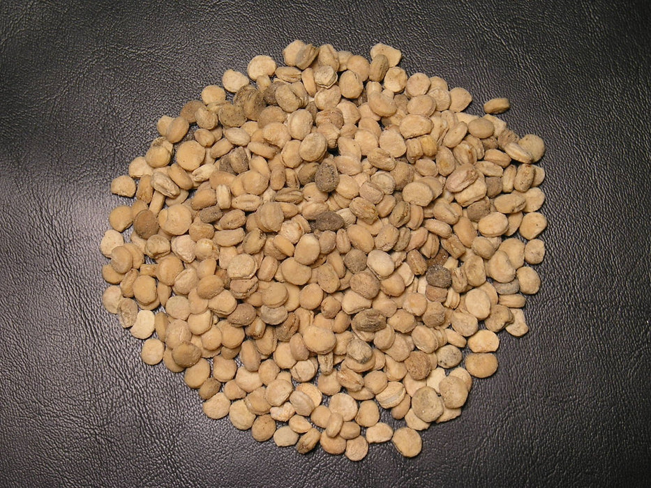 American Ginseng Seeds, Ready To Plant - Caribbean garden seed