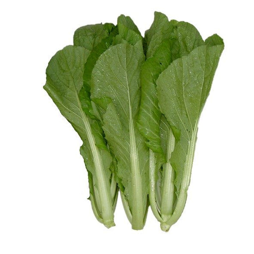 Chinese Mustard Greens Seeds,Jie Cai, cold hardy asian vegetables - Caribbean garden seed