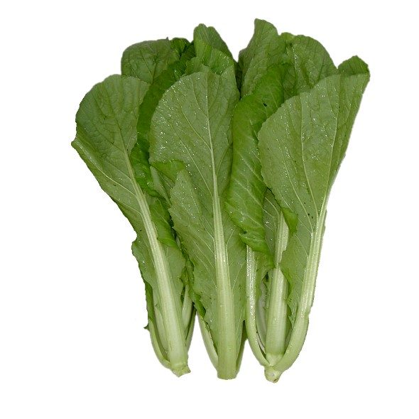 Chinese Mustard Greens Seeds,Jie Cai, cold hardy asian vegetables - Caribbean garden seed