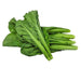 Chinese Mustard Greens Seeds,Jie Cai, cold hardy asian vegetables - Caribbean garden seed