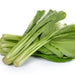 Chinese Mustard Greens Seeds,Jie Cai, cold hardy asian vegetables - Caribbean garden seed