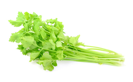 Chinese Celery Seeds -Light Green or Nan Ling Cutting, Asian vegetable - Caribbean garden seed