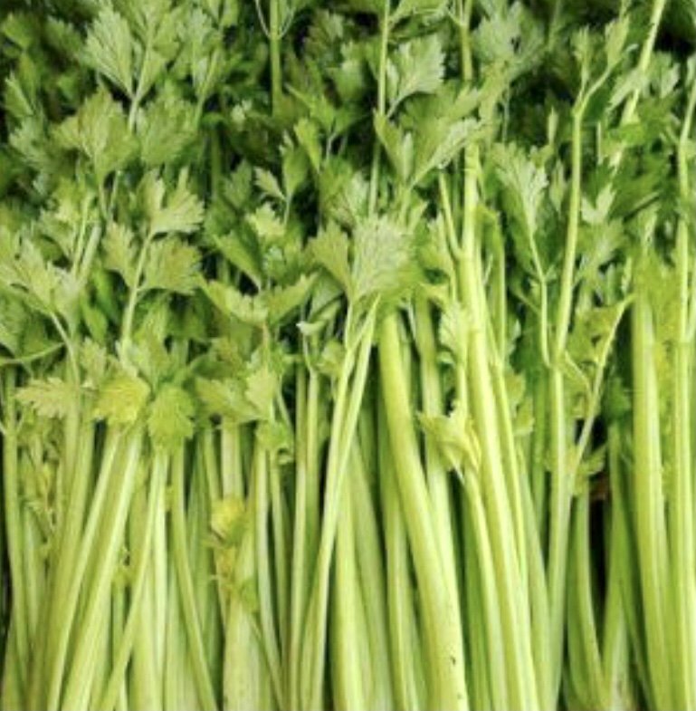 Chinese Celery Seeds -Light Green or Nan Ling Cutting, Asian vegetable - Caribbean garden seed