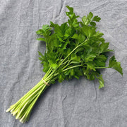 Chinese Celery Seeds -Light Green or Nan Ling Cutting, Asian vegetable - Caribbean garden seed