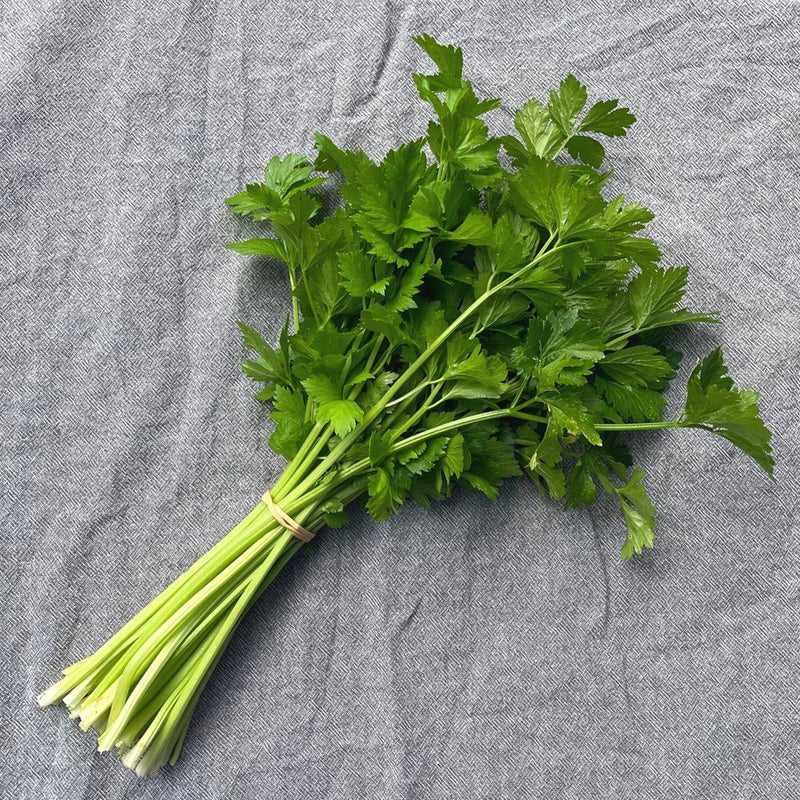 Chinese Celery Seeds -Light Green or Nan Ling Cutting, Asian vegetable - Caribbean garden seed