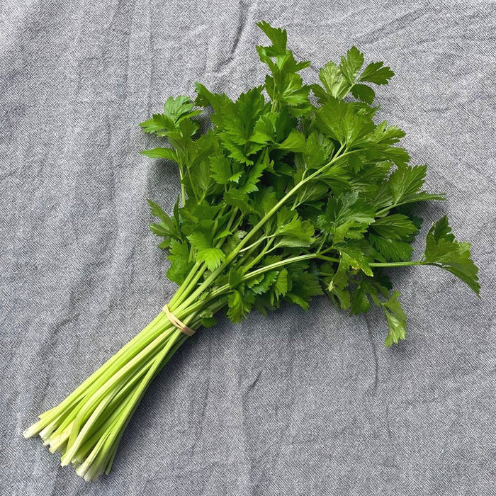 Chinese Celery Seeds -Light Green or Nan Ling Cutting, Asian vegetable - Caribbean garden seed