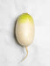 Korean Radishes SEEDS, ASIAN VEGETABLE - Caribbean garden seed
