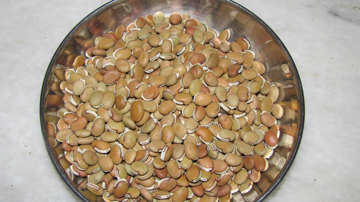 Field Bean seeds - Kadva Vaal - Caribbean garden seed