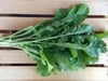 ARUGULA  ASTRO ,Herb Seed  Asian Vegetable - Caribbean garden seed