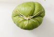 JAMAICAN cho-cho,Chayote squash - Caribbean garden seed