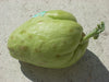 JAMAICAN cho-cho,Chayote squash - Caribbean garden seed