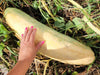 Winter Squash seeds, Pink Banana - Caribbean garden seed