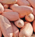 Winter Squash seeds, Pink Banana - Caribbean garden seed