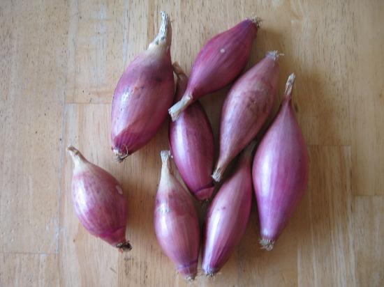 Onion seeds -  Red Florence ,Long-day - Caribbean garden seed