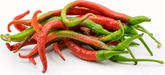 Pepper Seeds,  kung pao CHILI - Caribbean garden seed