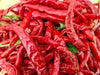 Pepper Seeds,  kung pao CHILI - Caribbean garden seed
