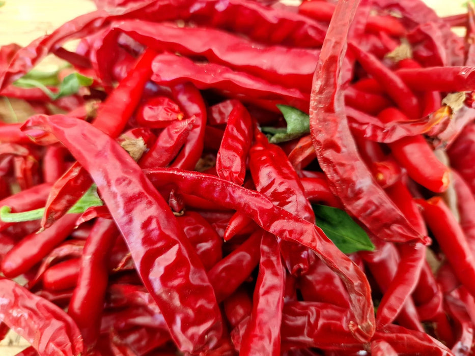 Pepper Seeds,  kung pao CHILI - Caribbean garden seed