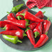 Pepper seeds  - Fresno chili - Caribbean garden seed
