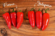 Pepper seeds  - Fresno chili - Caribbean garden seed