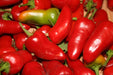 Pepper seeds  - Fresno chili - Caribbean garden seed