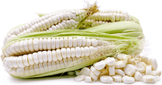Corn seeds - maiz chulpe, from Peru - Caribbean garden seed