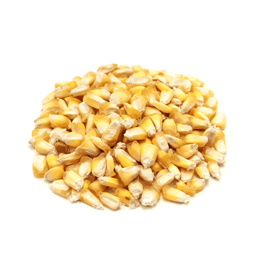 Corn seeds - maiz chulpe, from Peru - Caribbean garden seed