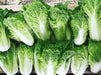 Chinese Cabbage Seeds - Bae Moo Chae - Hybrid - Caribbean garden seed