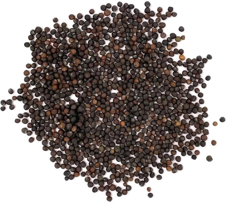 Chinese Cabbage Seeds - Bae Moo Chae - Hybrid - Caribbean garden seed