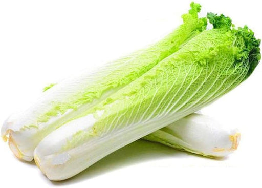 Chinese Cabbage Seeds  - Green Rocket - Hybrid - Caribbean garden seed