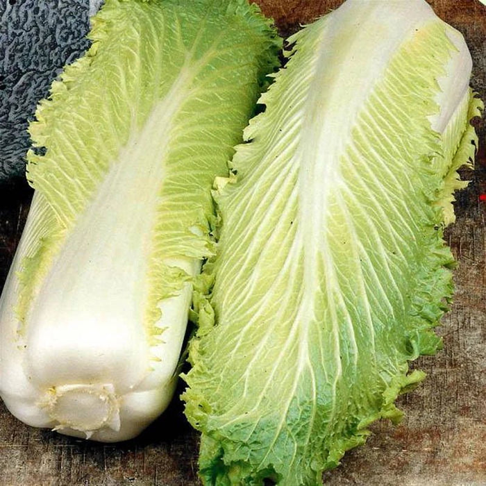 Chinese Cabbage Seeds  - Green Rocket - Hybrid - Caribbean garden seed