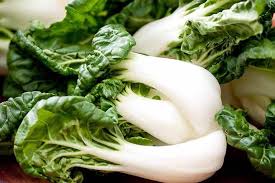 Cabbage Seeds -  Pak Choi - Hotau Improved - Hybrid - Caribbean garden seed