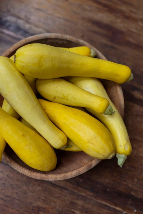 Zucchini Seeds -Yellow, Summer Squash - Caribbean garden seed