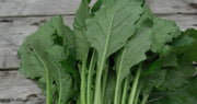Kale Seeds -Ethiopian ,Amara Mustard - Caribbean garden seed