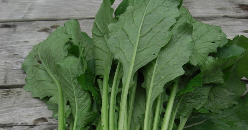 Kale Seeds -Ethiopian ,Amara Mustard - Caribbean garden seed