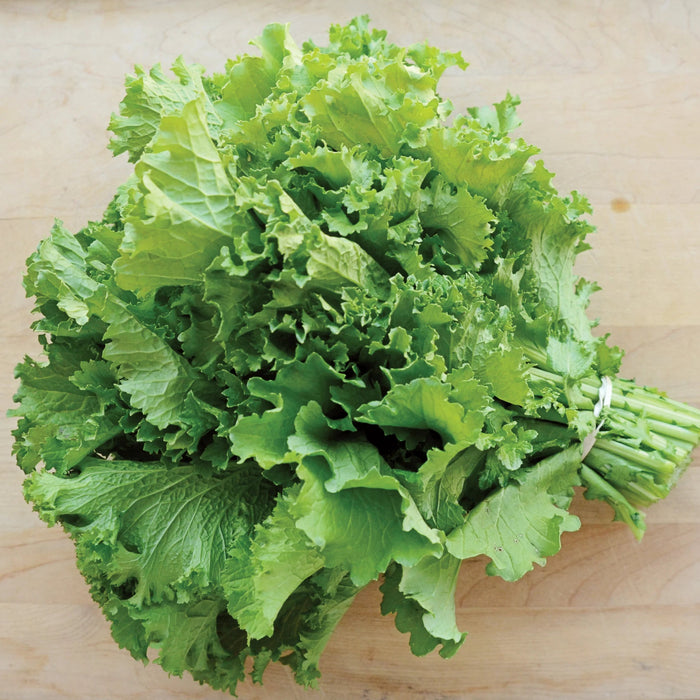 MUSTARD Ggreens SEEDS - Greenwave - Caribbean garden seed