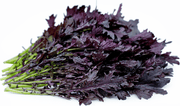 Mustard Seeds - Mizuna ,Dark purple - Caribbean garden seed