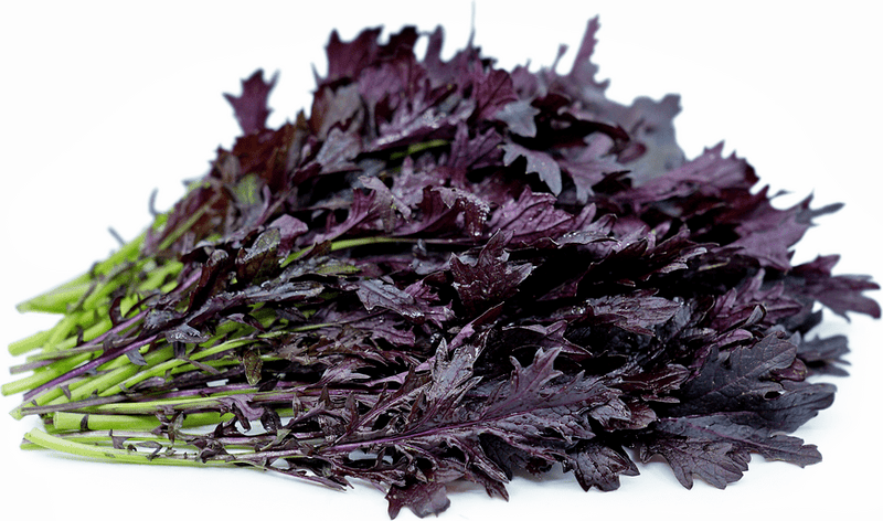 Mustard Seeds - Mizuna ,Dark purple - Caribbean garden seed
