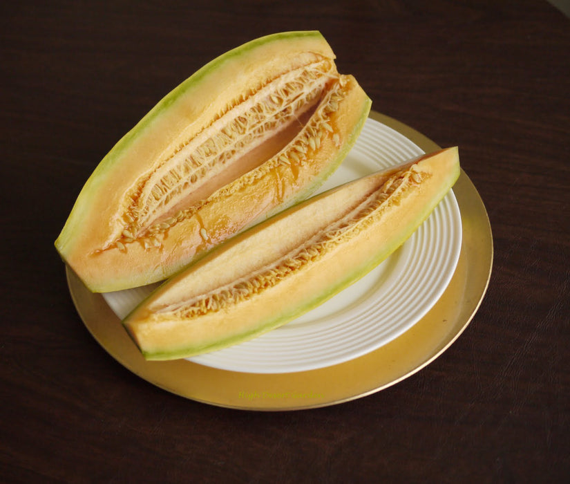 Melon Seeds - Banana - Caribbean garden seed