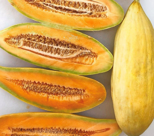 Melon Seeds - Banana - Caribbean garden seed