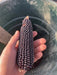 Corn Seeds - Popcorn - DAKOTA BLACK, Untreated - Caribbean garden seed