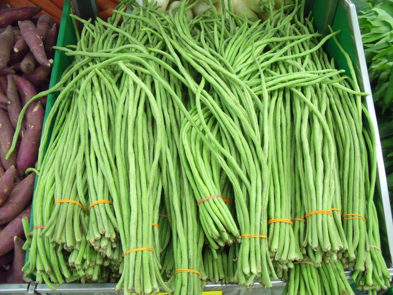 Bean Seeds - Yard Long,Mixed  Pole - Caribbean garden seed