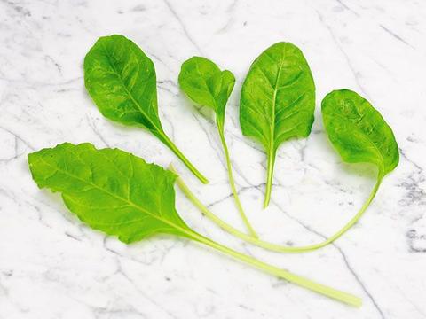 Spinach Seeds - Perpetual Swiss Chard - Caribbean garden seed