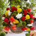 Begonia - Cascade Pendula - Mixed - Caribbean garden seed
