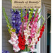 Gladiolus Bulbs - 4th of July Blend - Caribbean garden seed