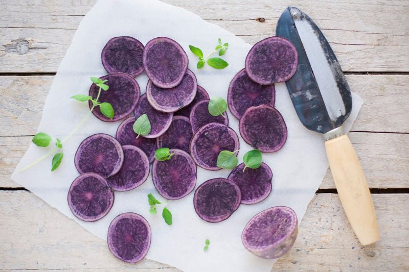 Fresh Potato  - All Blue - Organic - Caribbean garden seed