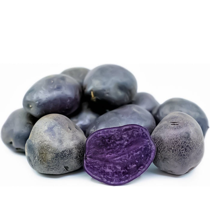Fresh Potato  - All Blue - Organic - Caribbean garden seed
