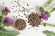 Herb Seeds - Milk Thistle - Organic - Caribbean garden seed