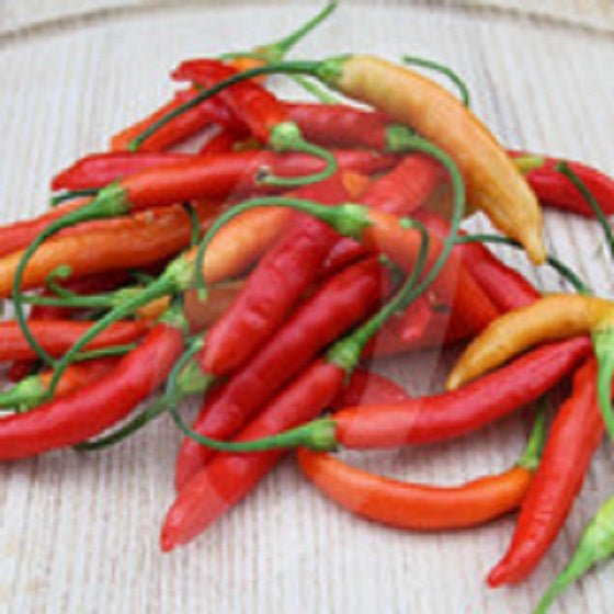 Pepper Seeds - Aji Limo Rojo , Mild - Caribbean garden seed