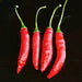 Pepper Seeds - Aji Limo Rojo , Mild - Caribbean garden seed
