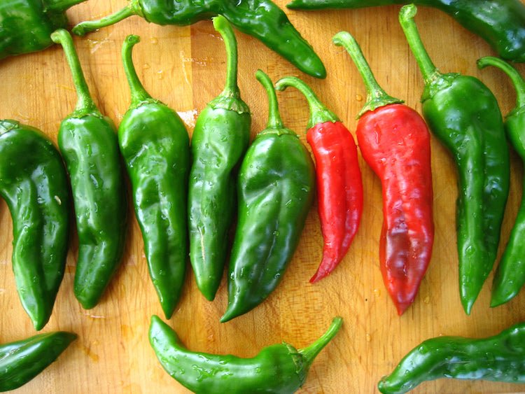 Pepper Seeds - Aji Limo Rojo , Mild - Caribbean garden seed